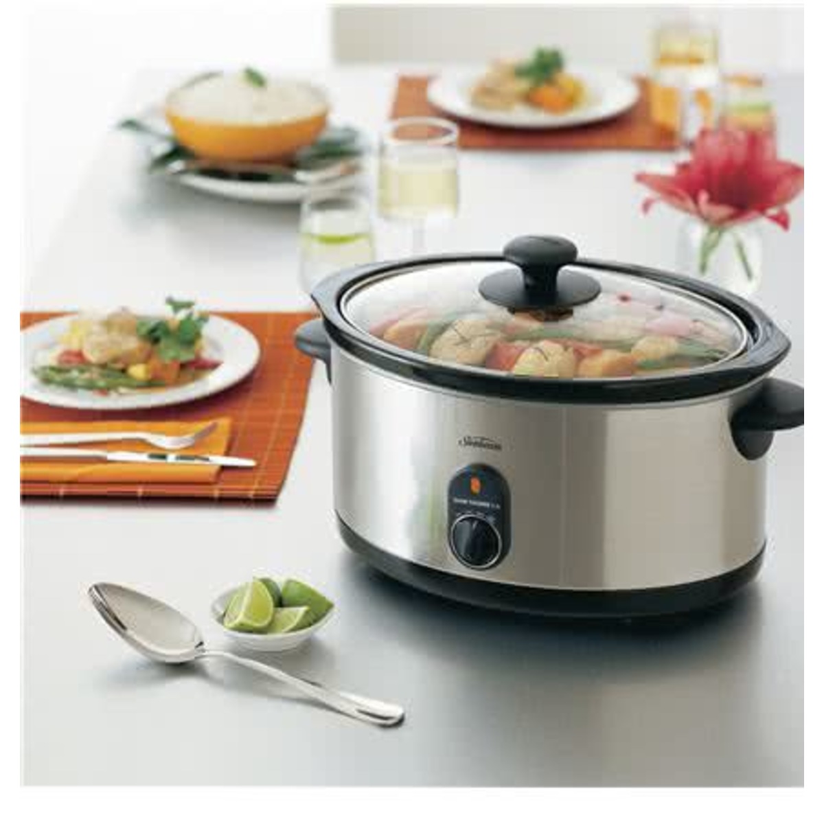 Sunbeam Slow Cooker Spare Parts Reviewmotors.co