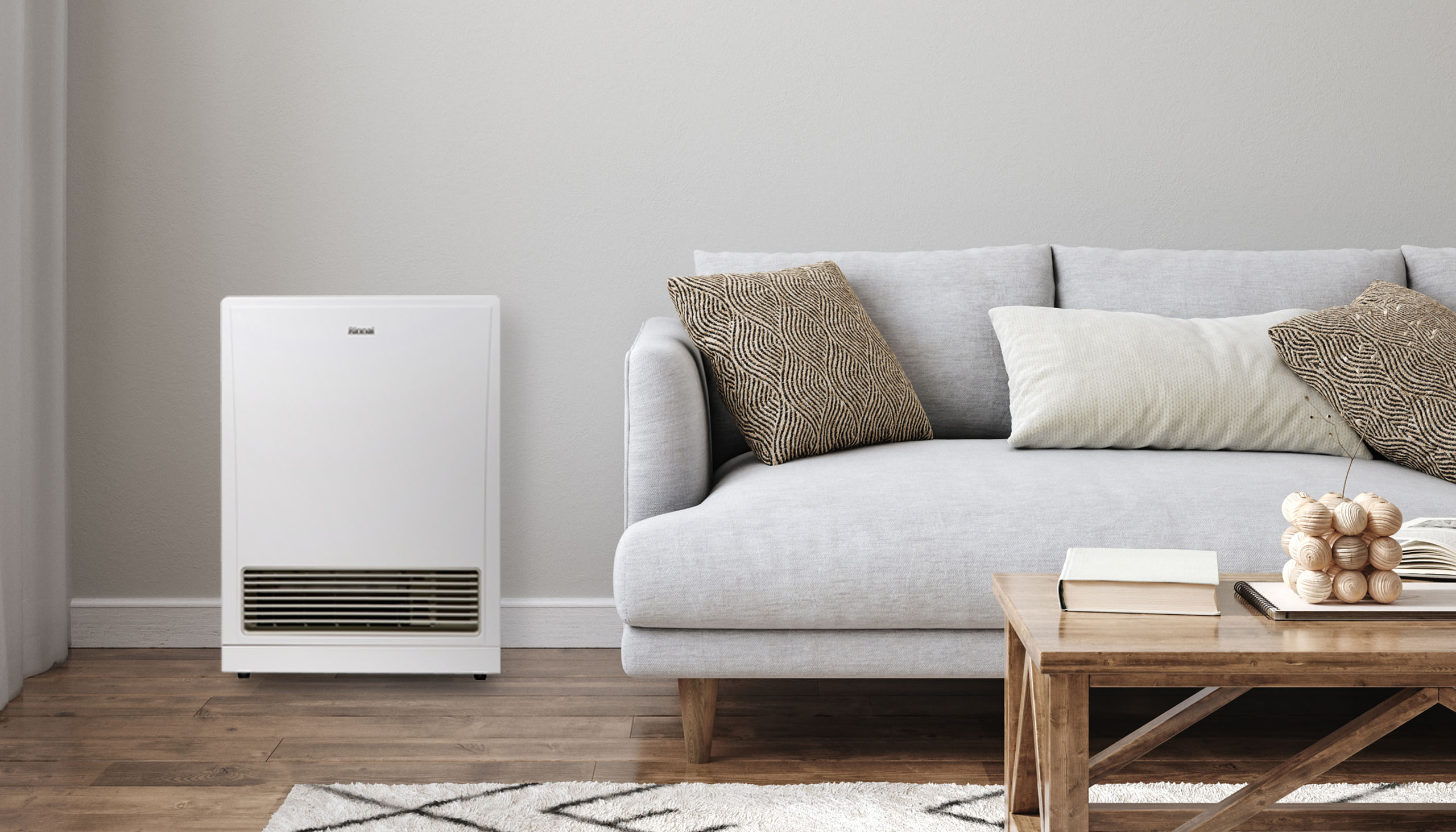 Rinnai K561 Natural Gas Energysaver Heater White K561FT3N. Buy Online