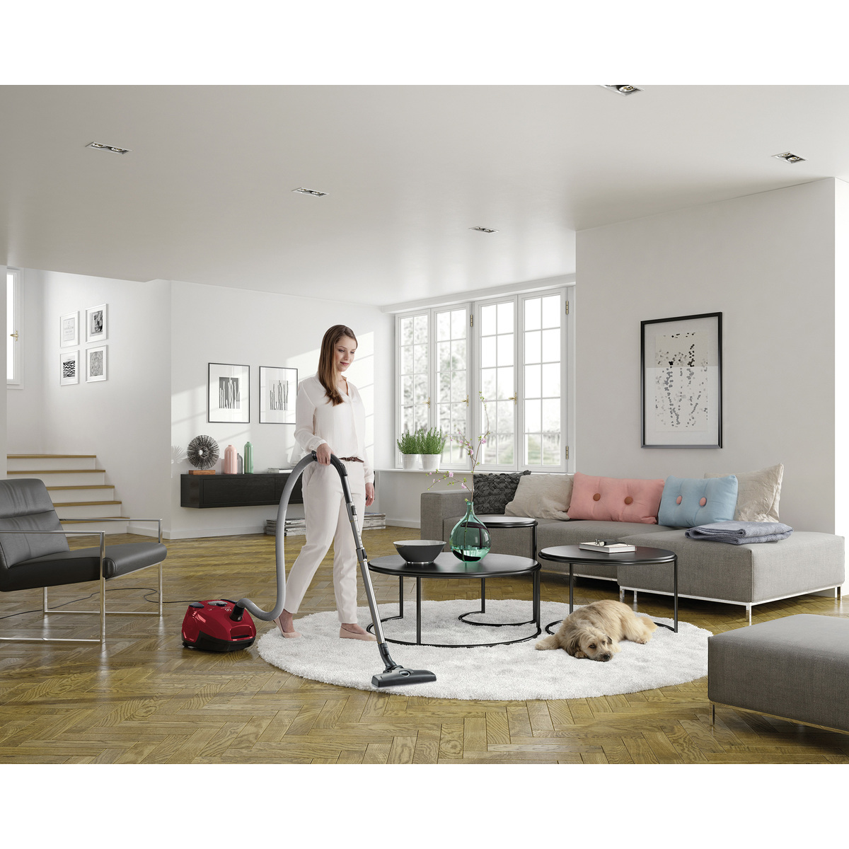 Electrolux Silentperformer Bagged 