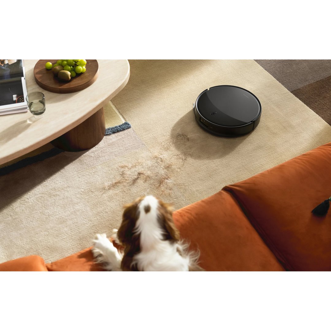 Robot vacuum cleaning pet hair from a rug with a dog on a couch