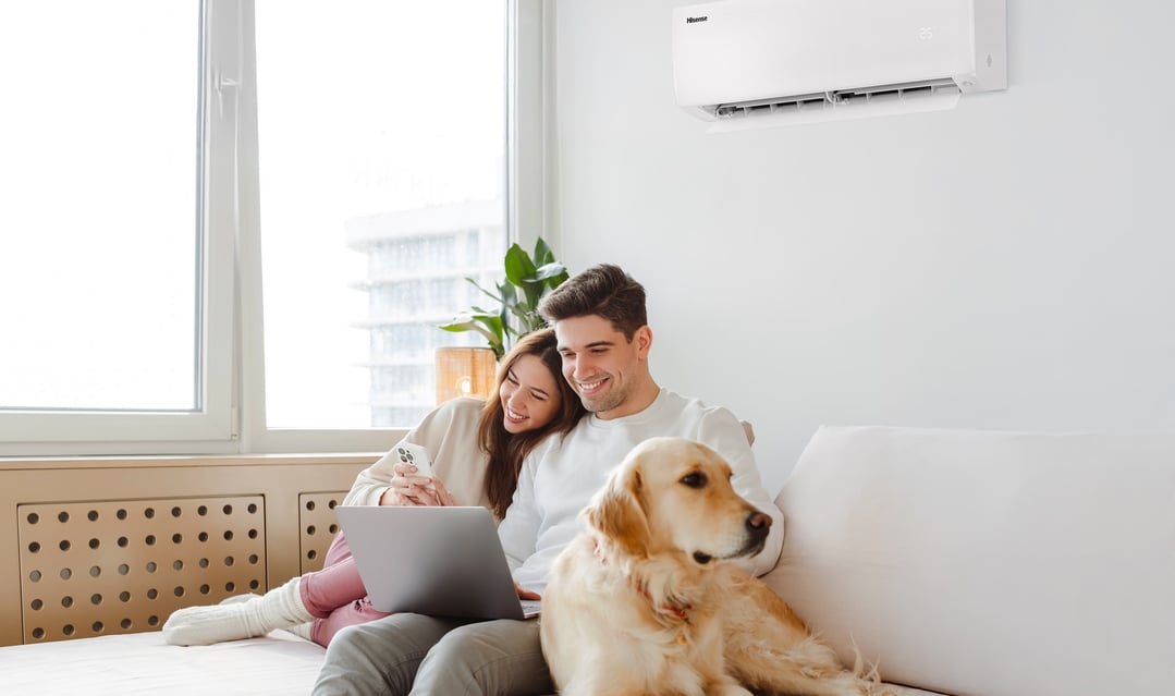 Couple and dog relaxing on a sofa with a Hisense air conditioner in the background