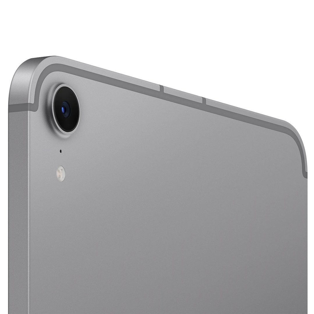 Apple iPad mini Wi-Fi + Cellular 256GB - Space Grey MXPT3X/A