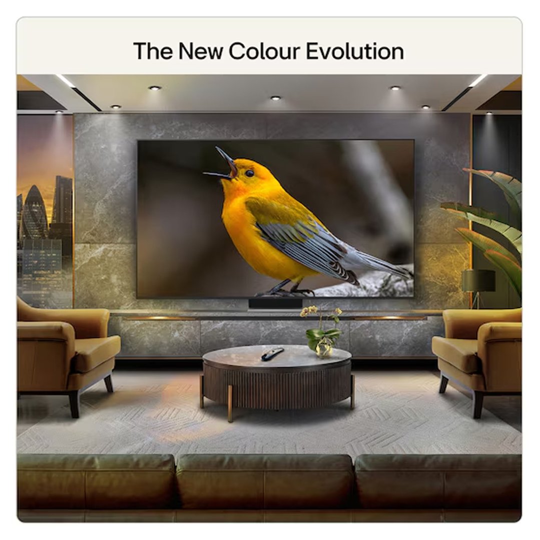 TV displaying a yellow bird, in a modern living room setting