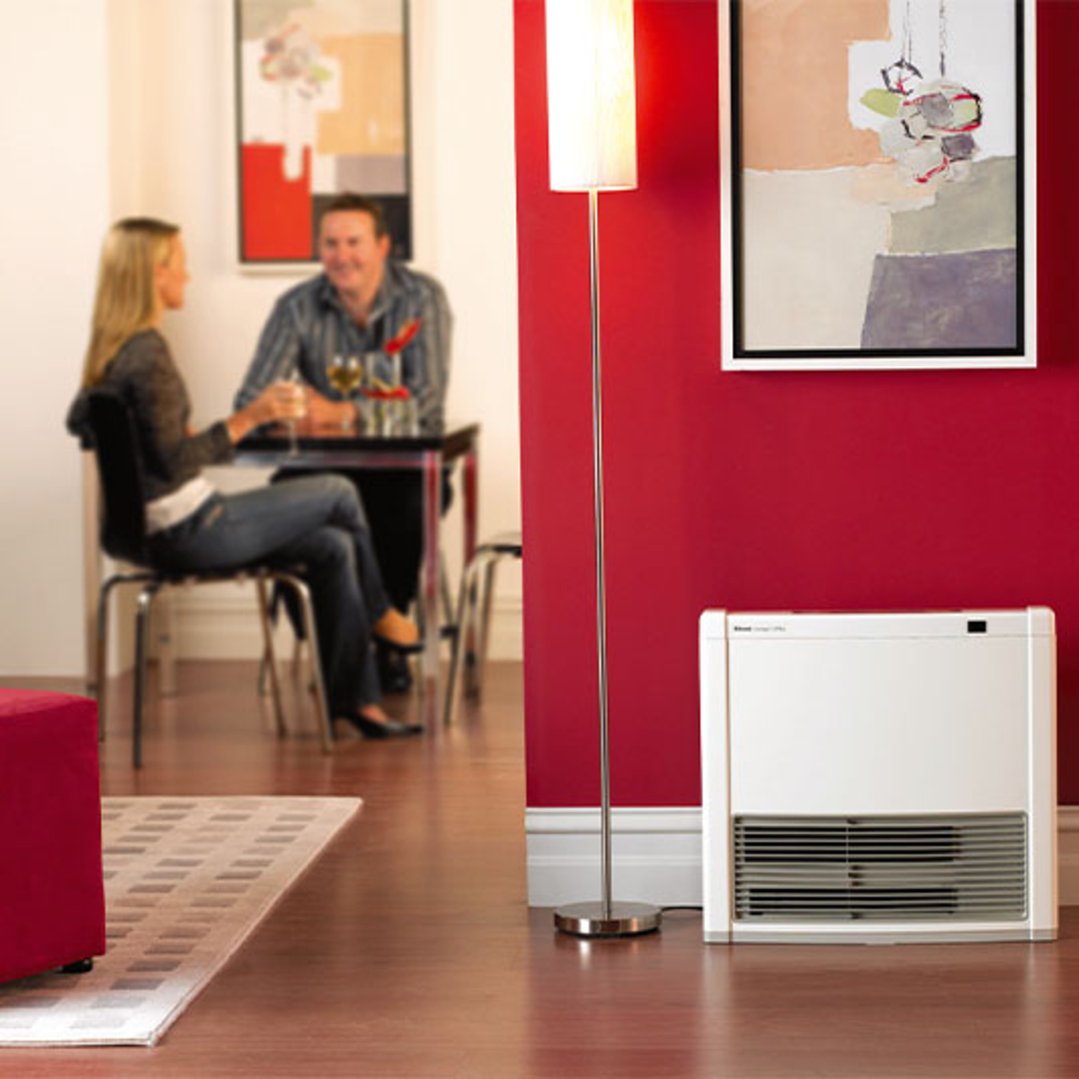 Rinnai Avenger 25 Convector3m HoseNG AV25N3