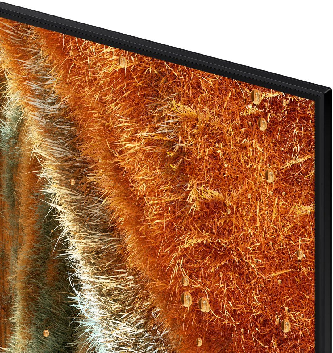 Close-up of a TV screen displaying a vibrant image of textured orange and green grass