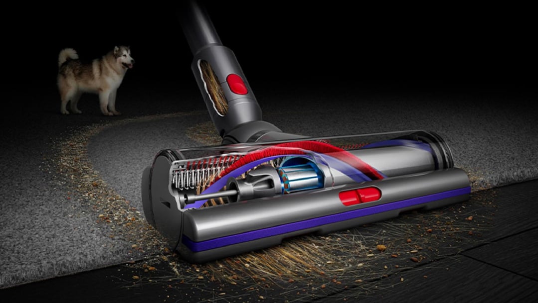Dyson V15 Detect™ Absolute 447955-01
