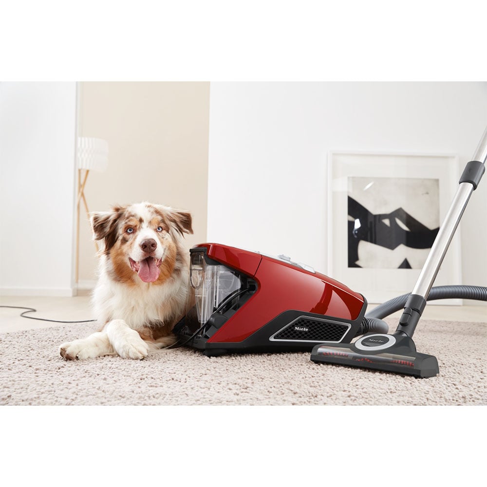 A red Miele bagless vacuum cleaner next to a dog on a carpet