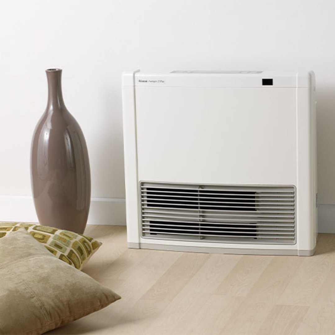 Rinnai Avenger 25 Convector3m HoseNG AV25N3