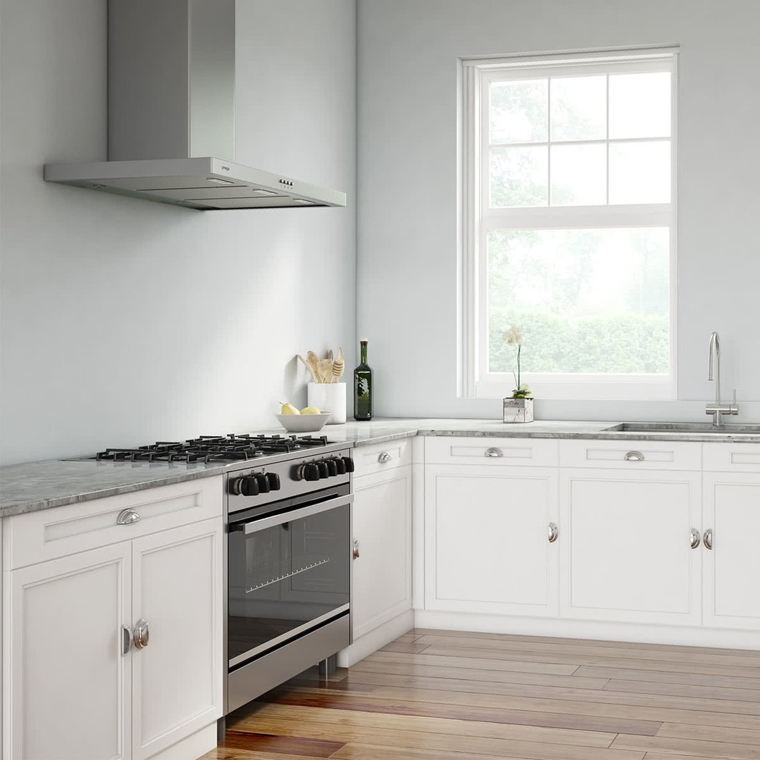 A stainless steel canopy rangehood installed above a stove in a modern kitchen