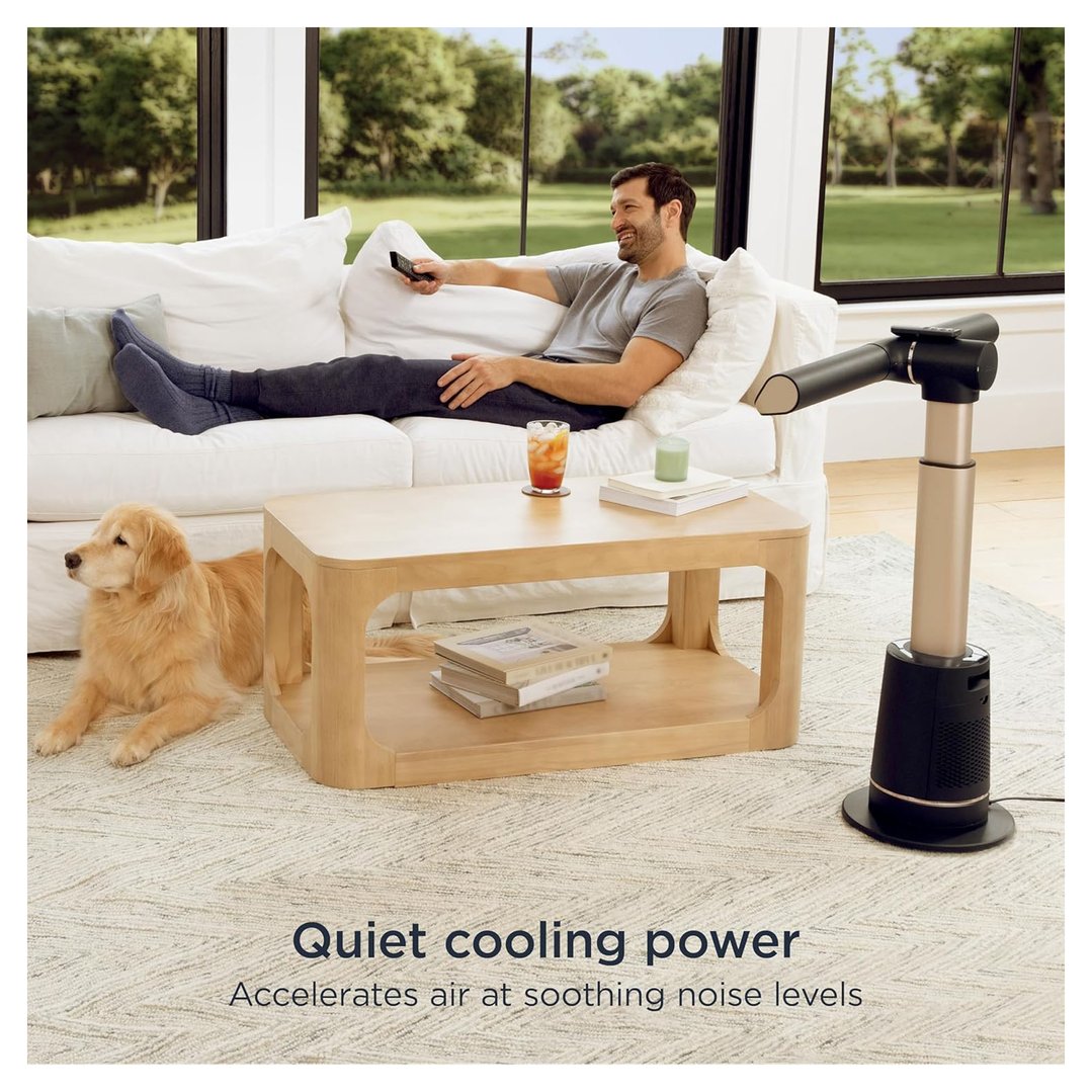 Man relaxing on a couch with a golden retriever and a fan nearby