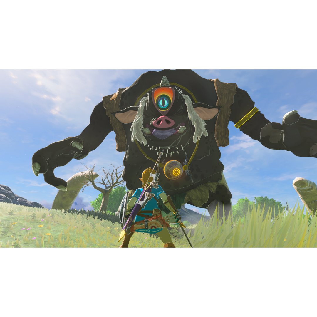 Link facing a large cyclops monster in a grassy field under a blue sky