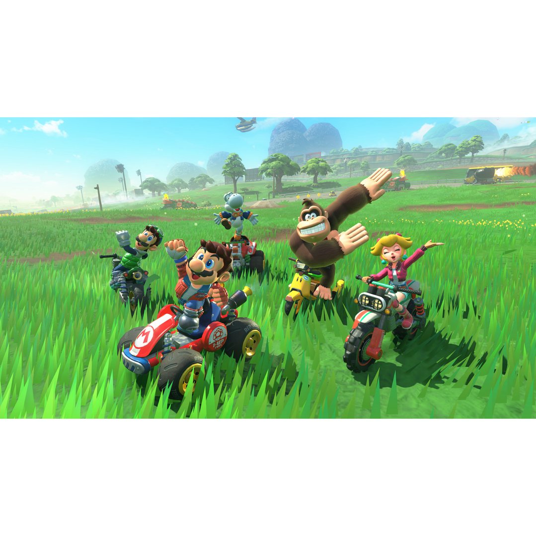 Mario, Luigi, Donkey Kong, and Princess Peach racing karts in a grassy field