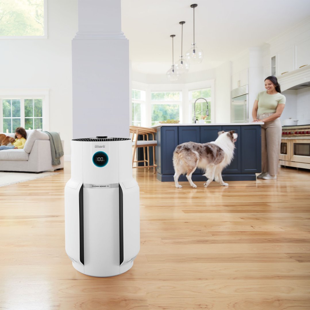 Shark air purifier in a living room with a woman, child, and two dogs