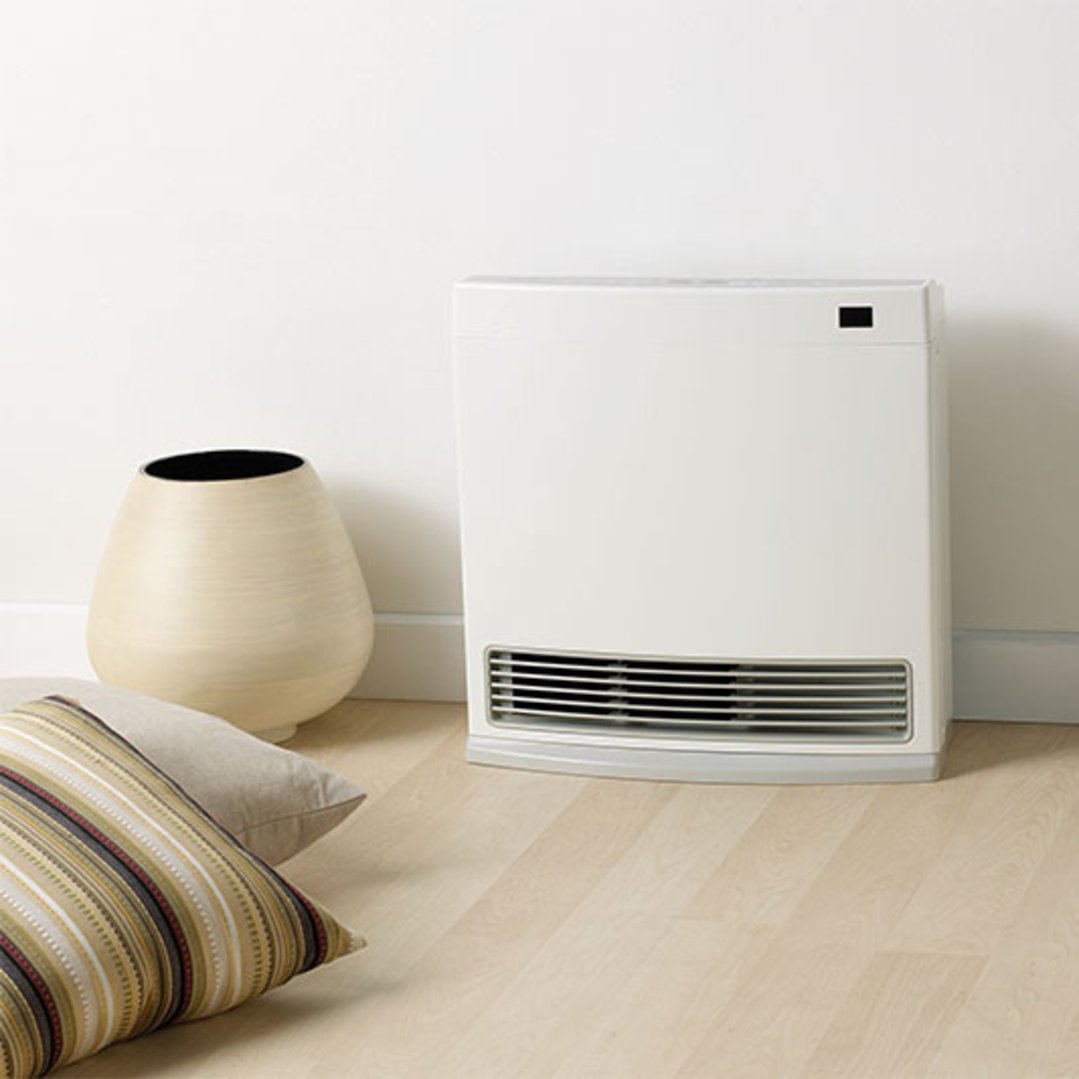 Rinnai Dynamo 15 ConvectorNG DY15N Bing Lee