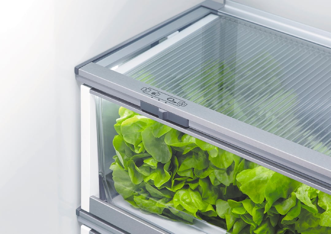 Close up of lettuce in the crisper drawer of an integrated refrigerator freezer