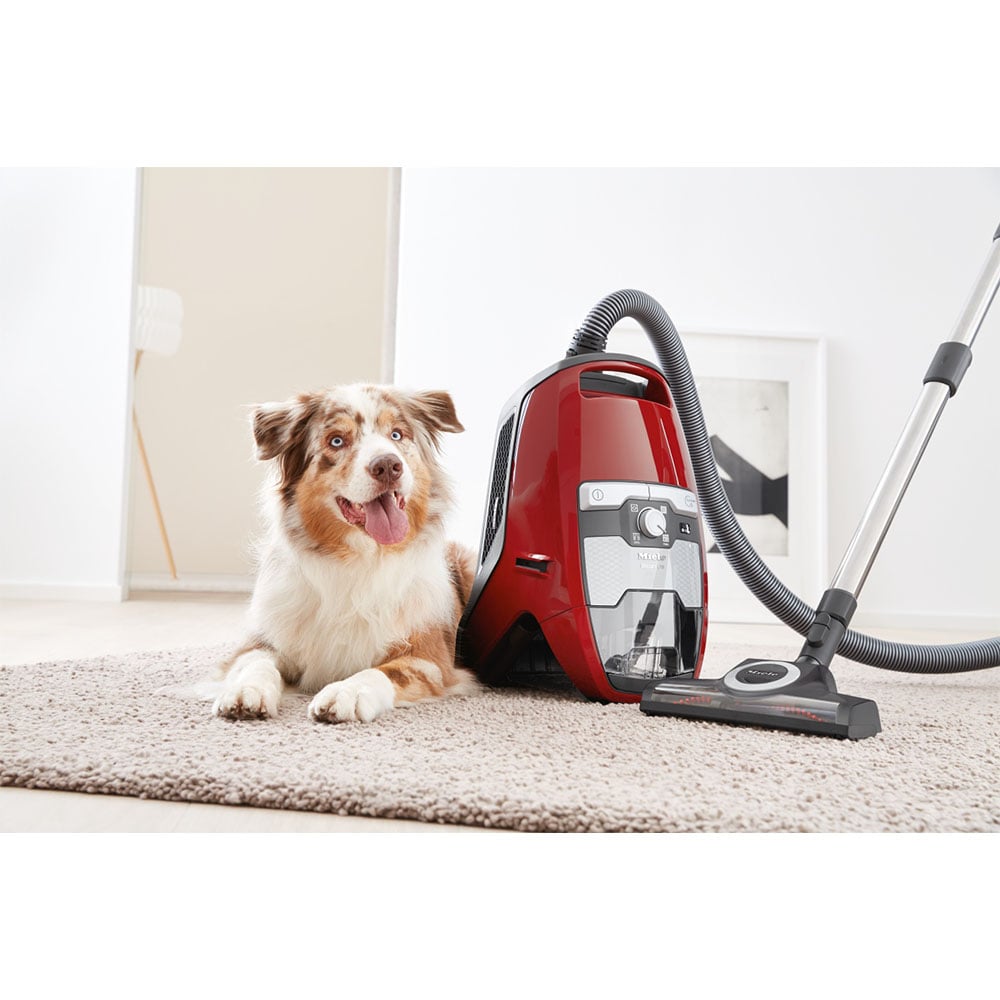 Red bagless vacuum cleaner and a dog on a carpet in a living room