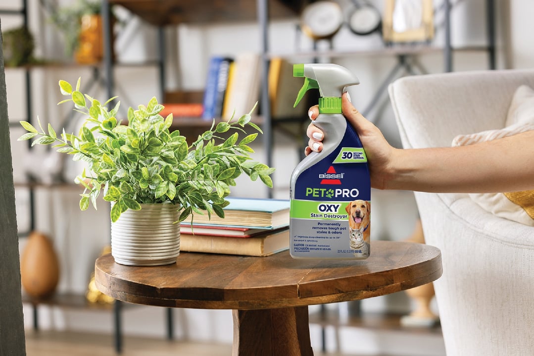Hand holding a BISSELL Pet Pro Oxy Stain Destroyer on a wooden table