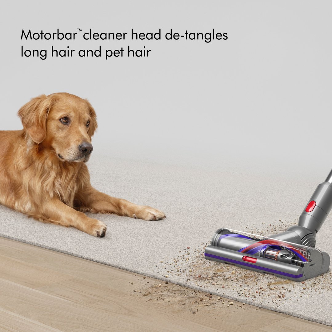 Dyson V15 Detect Absolute Stick Vacuum 626408-01