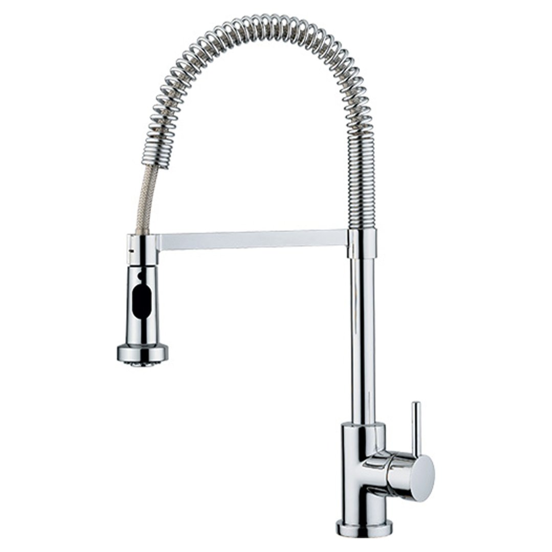 Franke Professional Flexible Spray Tap TA7181