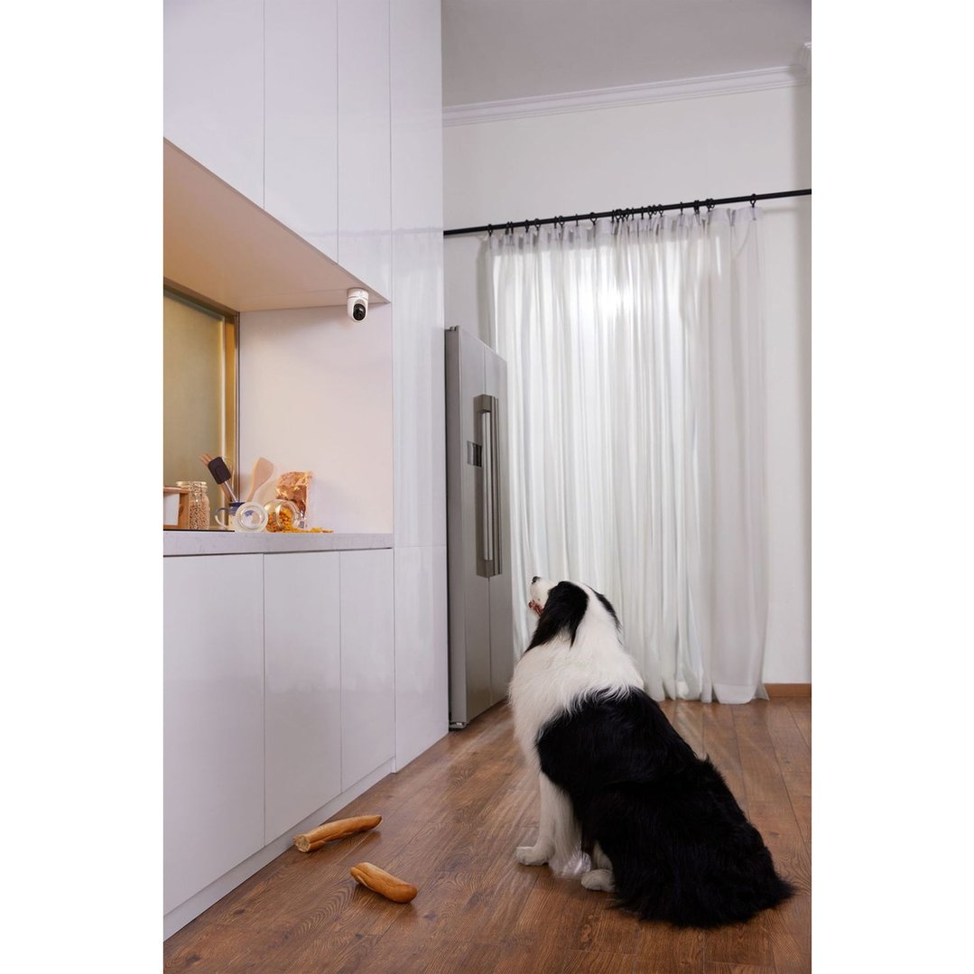 A security camera mounted under a kitchen cabinet, with a dog looking up