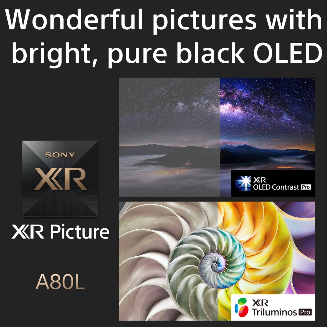 Sony 65" A80L BRAVIA XR OLED 4K HDR Smart Google TV (2023) XR65A80L