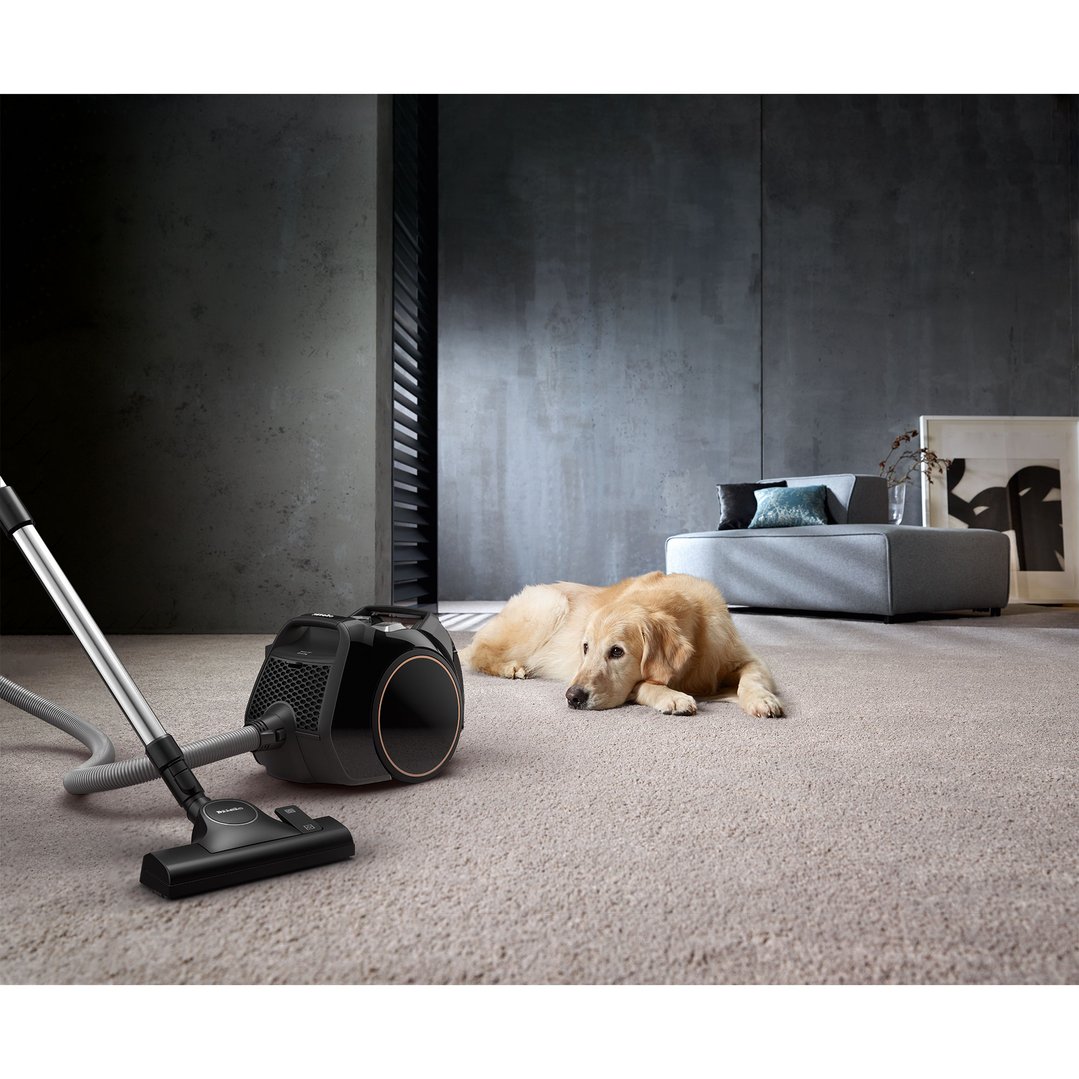 Miele Boost CX1 vacuum cleaner on carpet with a golden retriever dog