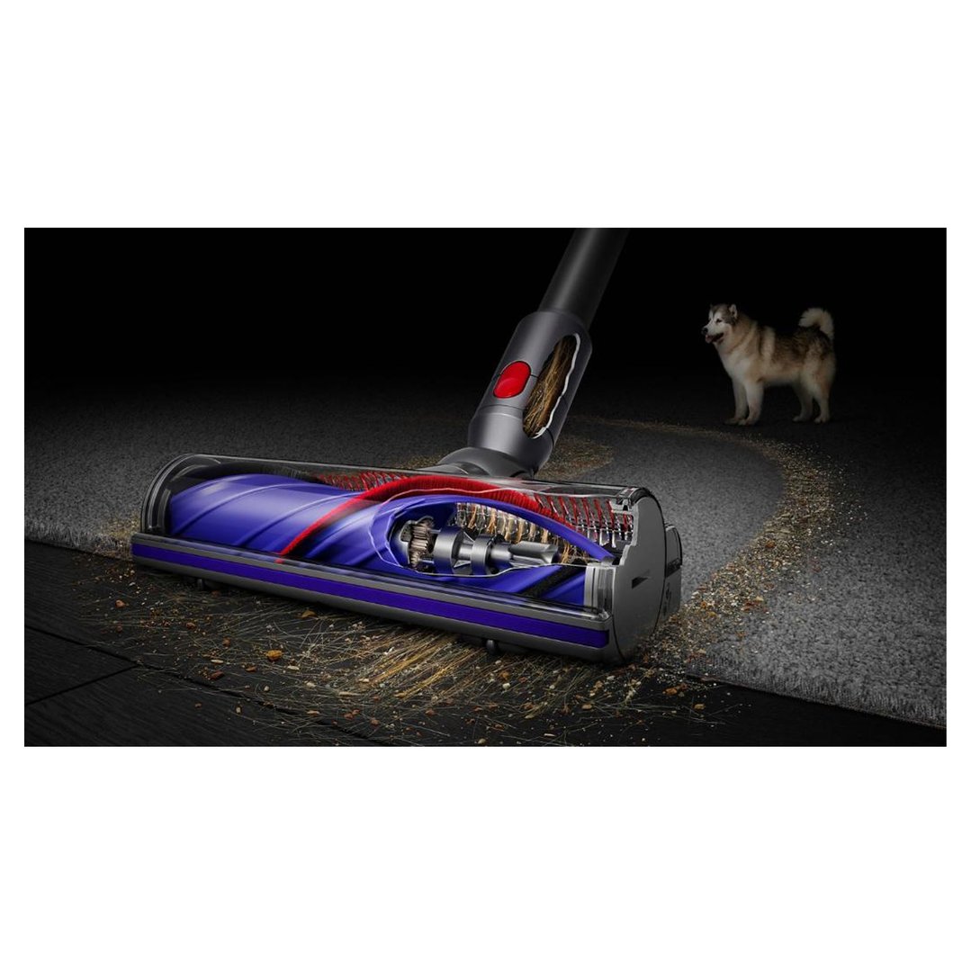 Dyson V8 Advanced handStickVacuum cleaning a floor with a dog in the background