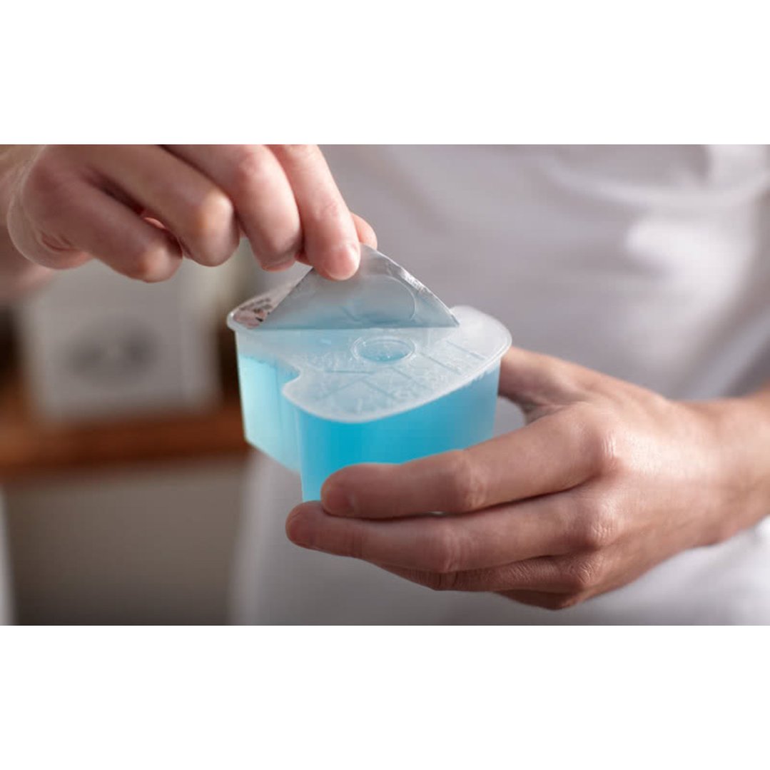 Philips Cleaning Cartridge2Pk JC302