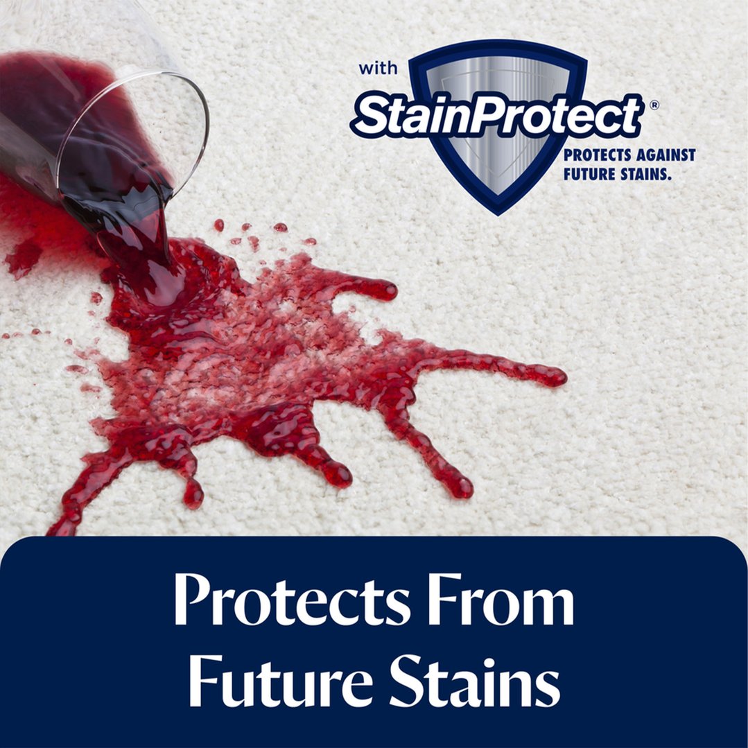 Bissell Stain & Odour Concentrated Formula (750ml) BS62E5E