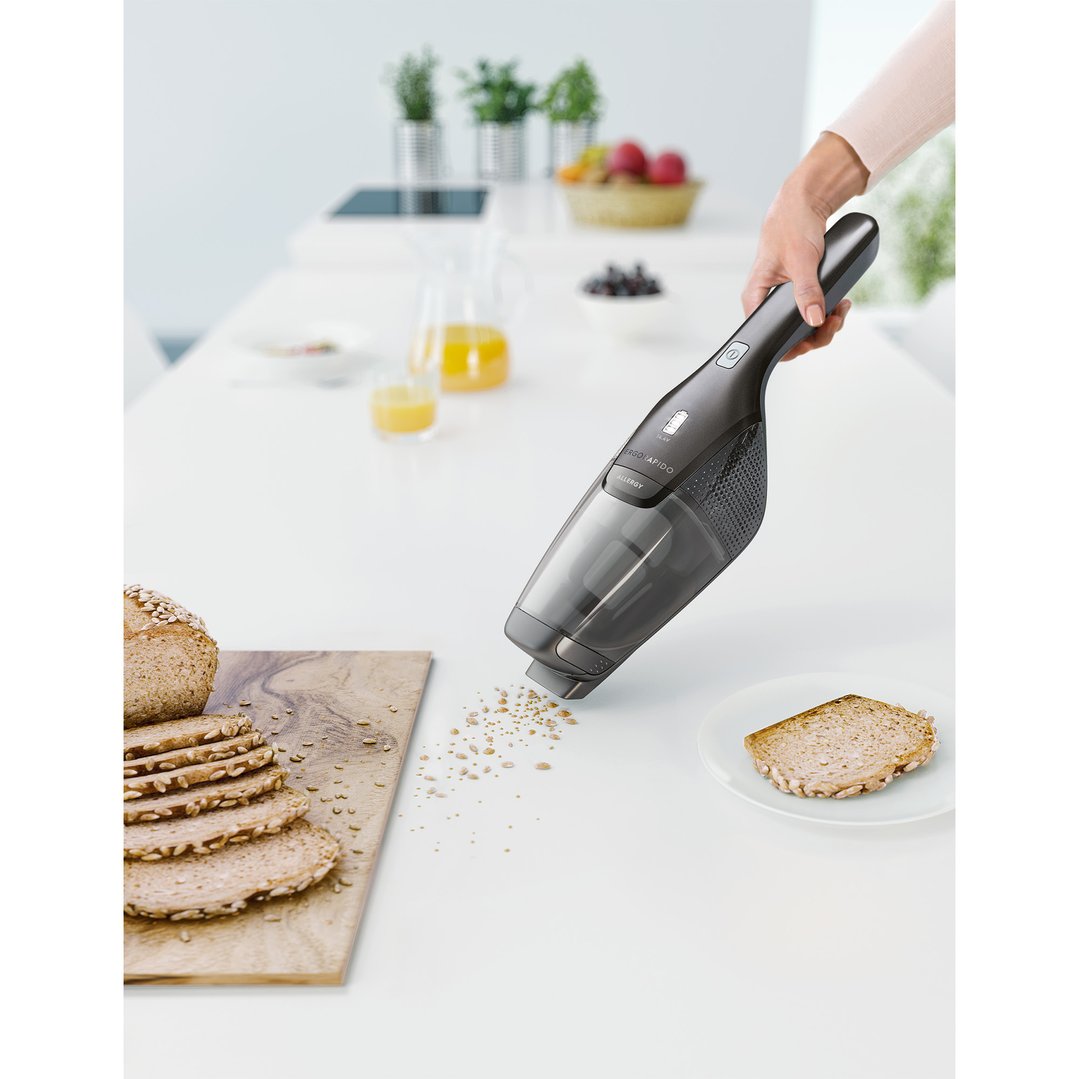 Electrolux Ergorapido 14.4V Cordless Vacuum Iron Grey ZB3501IG Buy