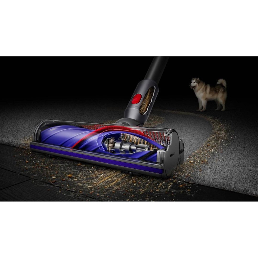 Dyson V8 Advanced Vacuum cleaning debris from carpet and wood floor, with dog