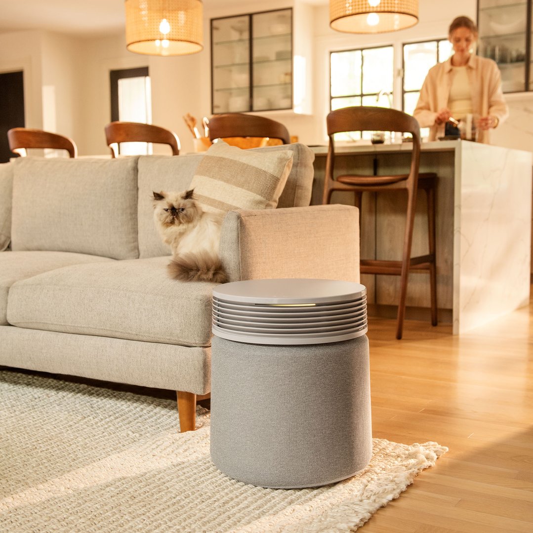 Light grey air purifier on rug next to sofa with cat, woman in background