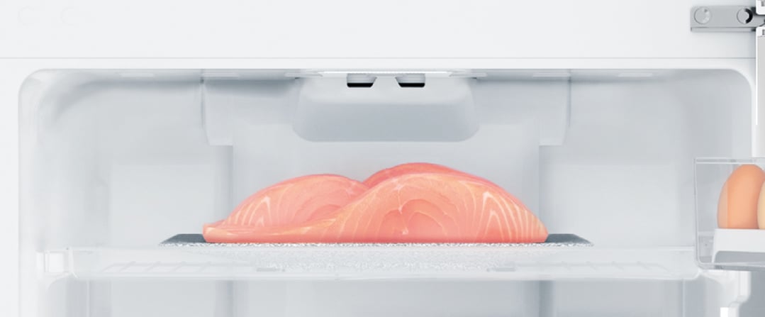 Two salmon fillets on a tray inside the Westinghouse top mount fridge