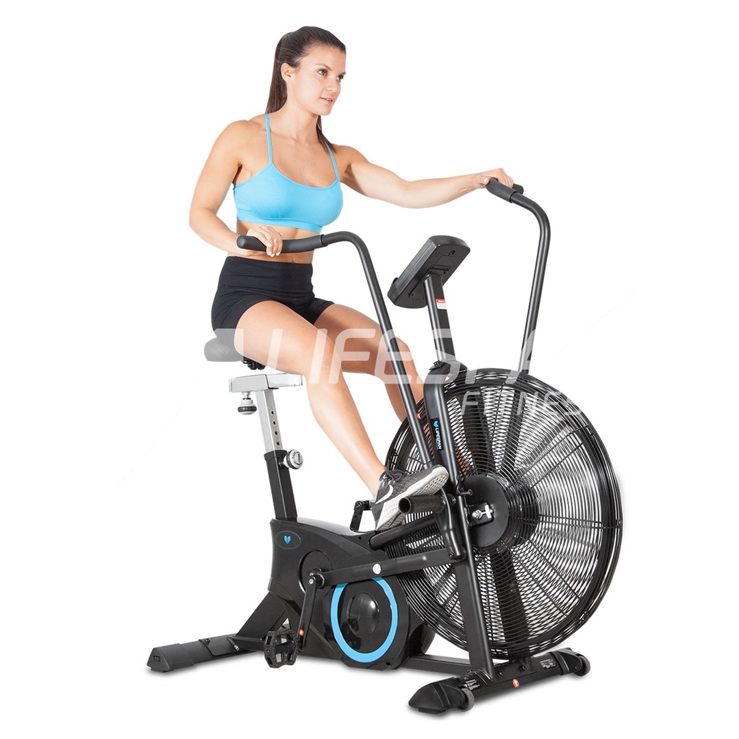 Lifespan Fitness Exercise Air Bike EXER90H
