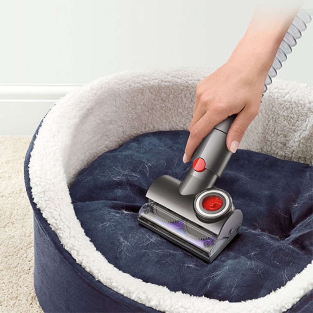 Dyson Big Ball Animal+ Barrel Vacuum 30028001 Buy Online