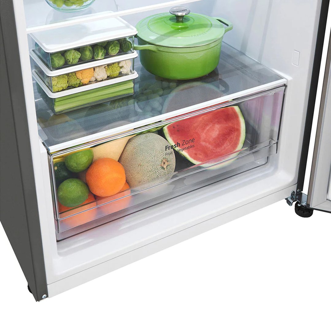 LG 375L Top Mount Fridge in Stainless Finish GT-5S