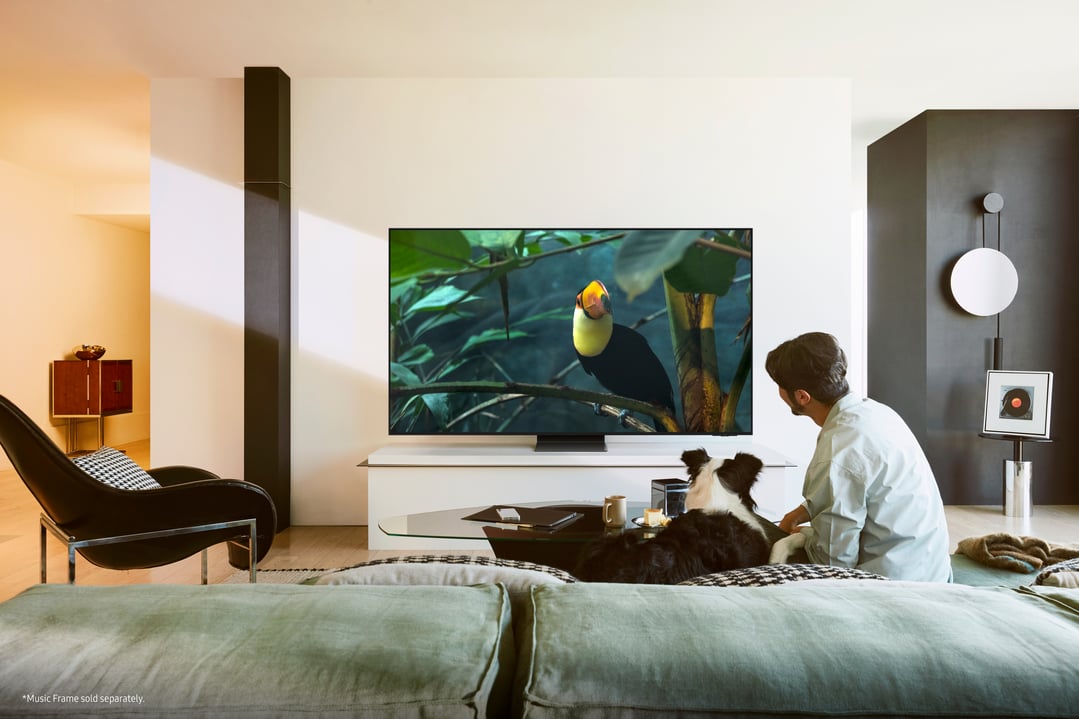 OLED TVs