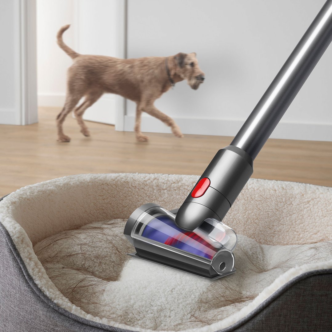Dyson V15 Detect Absolute handstick vacuum cleaning pet hair from a dog bed