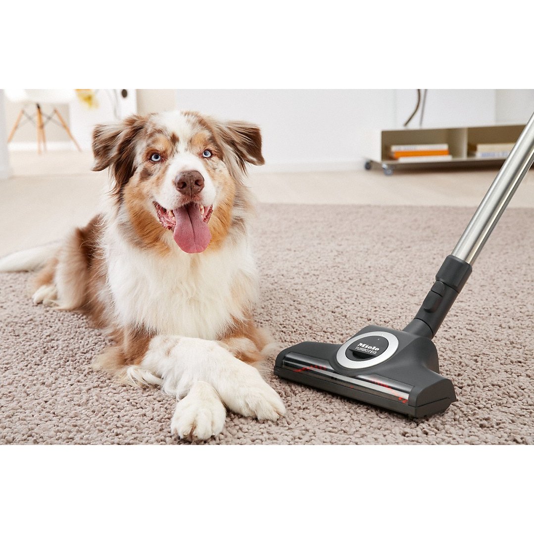 Miele TurboTeQ floorhead on a carpet next to a dog