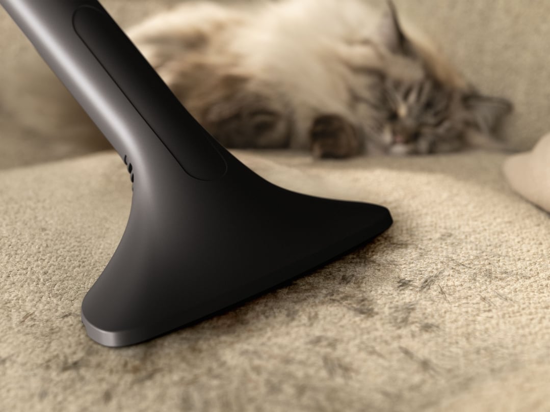 Close up of a vacuum cleaner head cleaning pet hair from a sofa