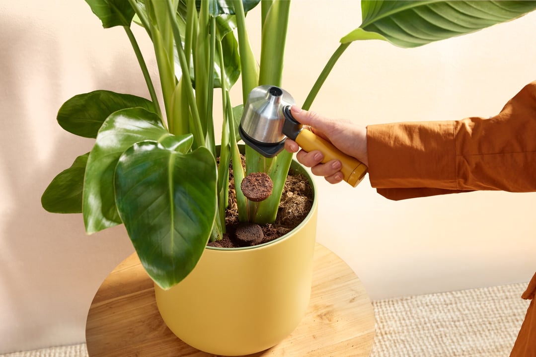 Hand holding a coffeeAccessories portafilter over a potted plant
