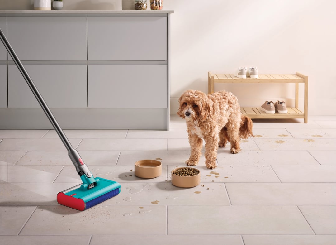 Dyson V15s Detect™ Submarine 448802-01
