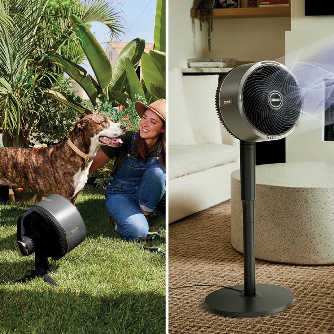 Two Shark FlexBreeze fans, one outdoors with a woman and dog, one indoors