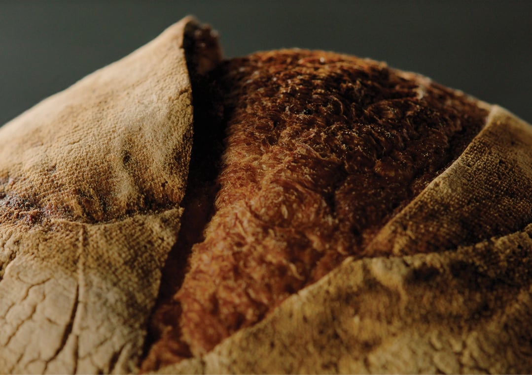 Close up of a loaf of bread with a crispy crust