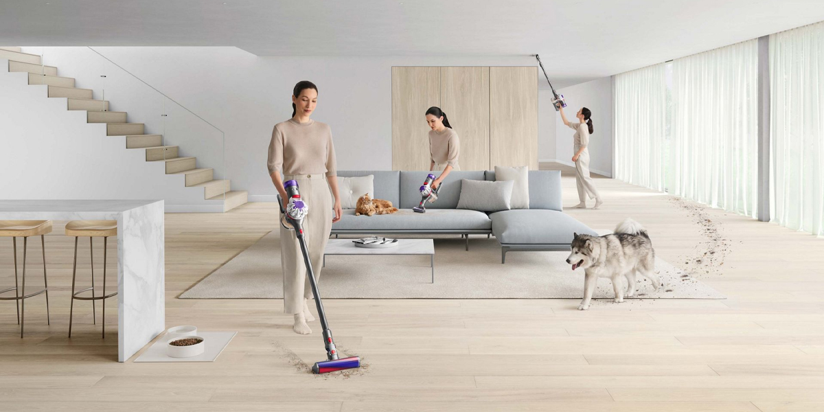 The Dyson V8