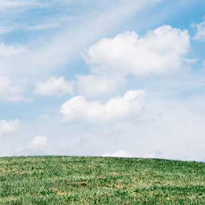 Eco-Friendly Appliance Buying Guide