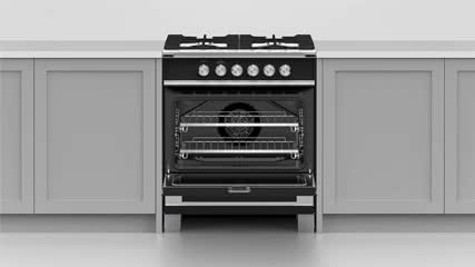 Large capacity oven