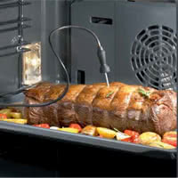 Meat Probe