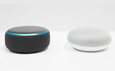 Voice Control(Alexa, Google Assistant)