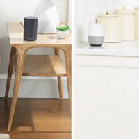 Works with Amazon Alexa and the Google Assistant